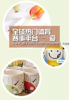 关于爱游戏官方