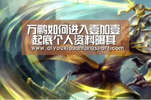 万鹏如何进入壹加壹 起底个人资料曝其出道历程源梦想|爱游戏视讯(图2) 爱游戏电竞