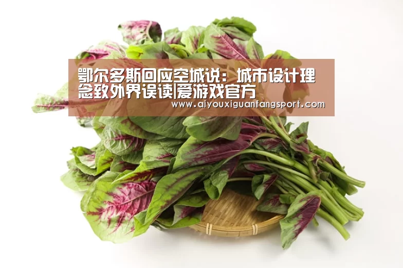 爱游戏官方